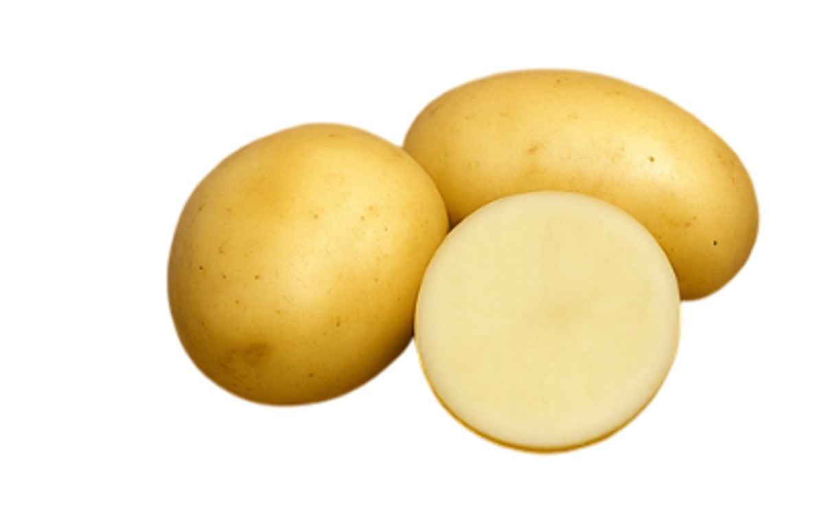 KUFRI CHIPSONA 5