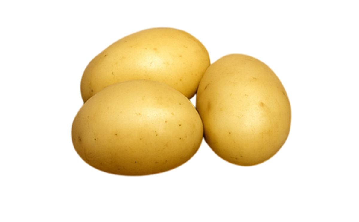 KUFRI CHIPSONA 6