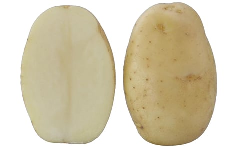 KUFRI FRYSONA KUFRI FRYSONA