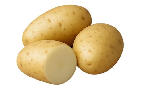 KUFRI KISAN KUFRI KISAN