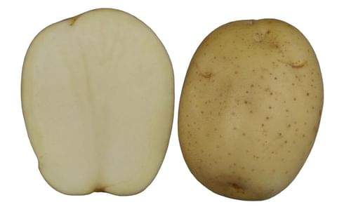 KUFRI LIMA KUFRI LIMA