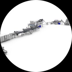 French Fries Processing Line