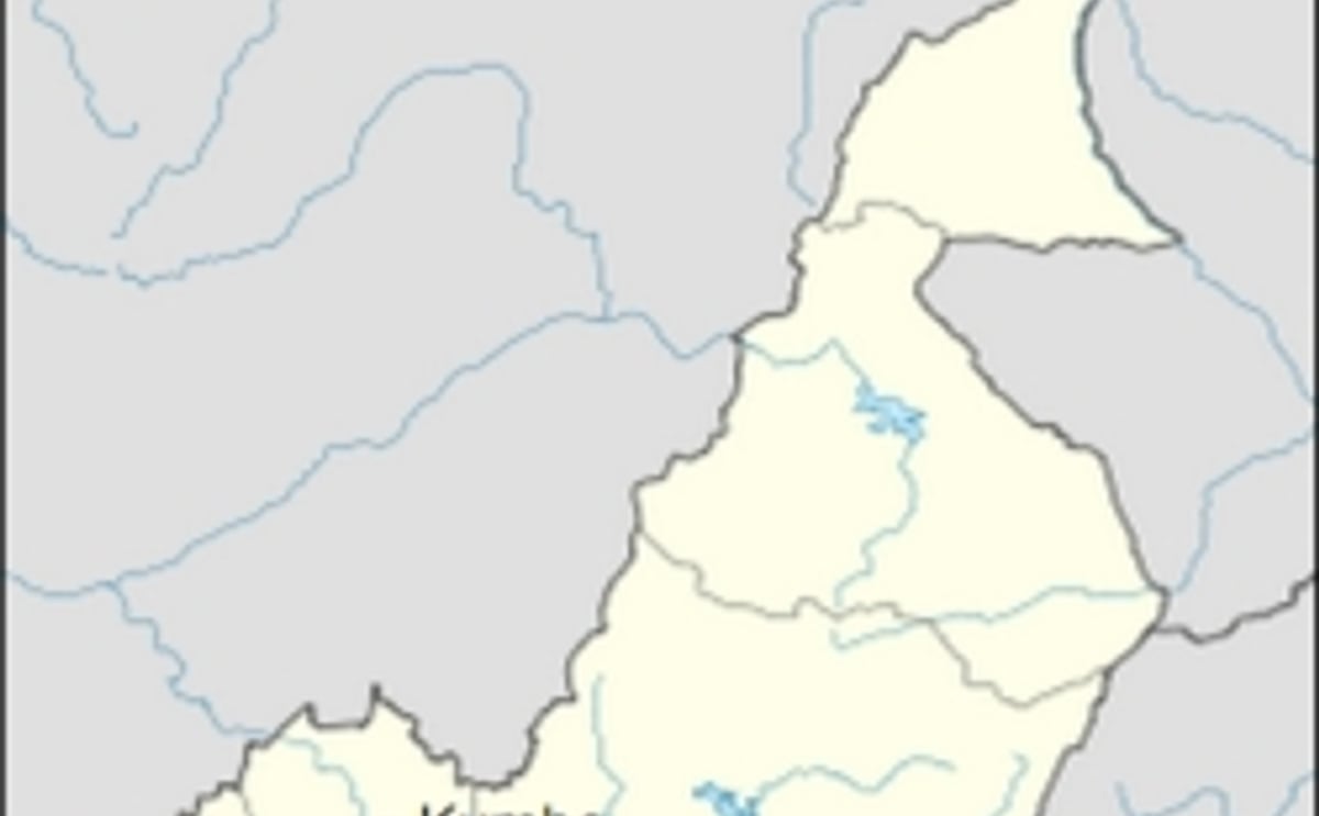 Call for tenders: feasibility study potato processing in Cameroon Call for tenders: feasibility study potato processing in Cameroon