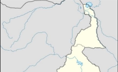 Call for tenders: feasibility study potato processing in Cameroon Call for tenders: feasibility study potato processing in Cameroon