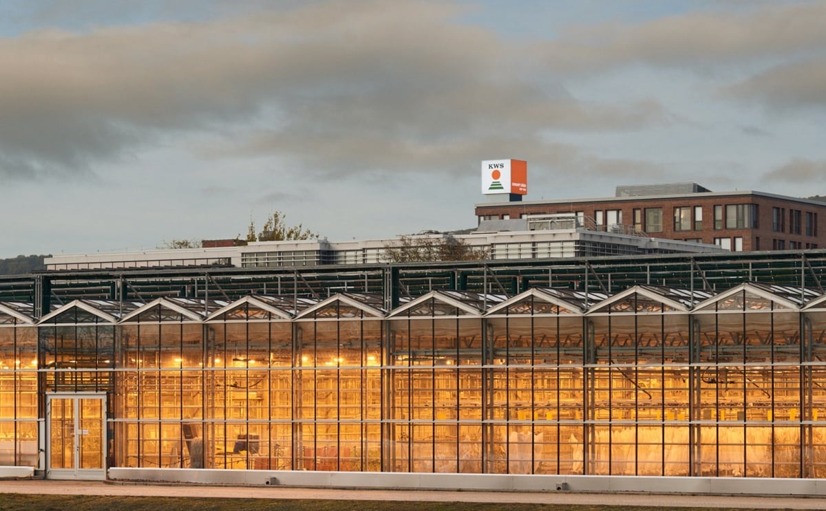 KWS renews offer for Bayer AG’s vegetable seed business KWS renews offer for Bayer AG’s vegetable seed business
