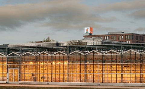 KWS has offered to buy Bayer’s Dutch vegetable seed company Nunhems. KWS has offered to buy Bayer’s Dutch vegetable seed company Nunhems.