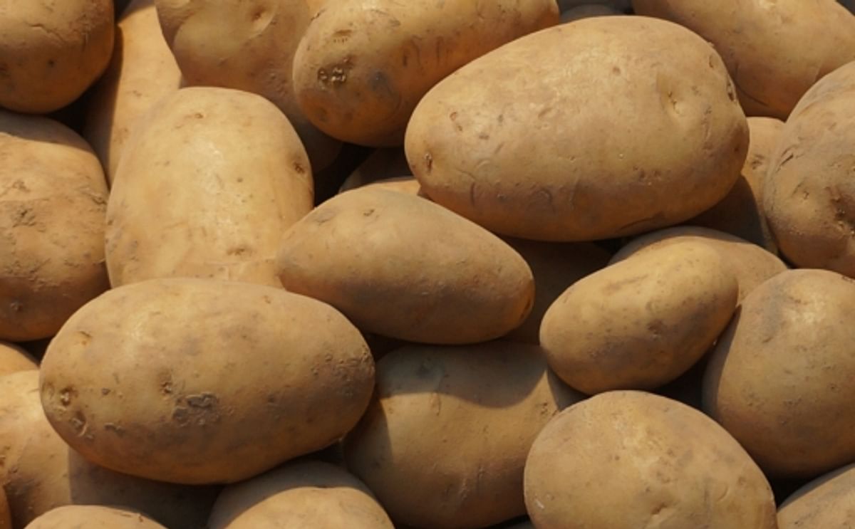 Sri Lanka raises tax on imported potatoes and big onions