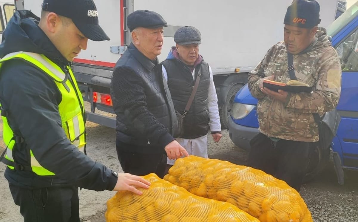 Kyrgyz officials inspect imported potato shipments during market monitoring amid concerns over Chinese potatoes being sold as local produce. Kyrgyz officials inspect imported potato shipments during market monitoring amid concerns over Chinese potatoes being sold as local produce.