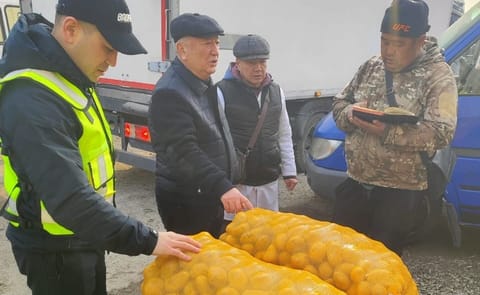 Kyrgyz officials inspect imported potato shipments during market monitoring amid concerns over Chinese potatoes being sold as local produce. Kyrgyz officials inspect imported potato shipments during market monitoring amid concerns over Chinese potatoes being sold as local produce.