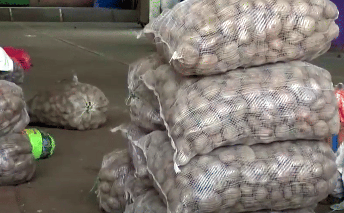 La crisis de los paperos continúa en el Oriente Colombiano.
