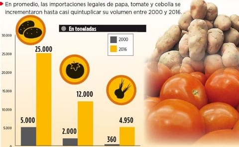 La importación de papa se dispara en Bolivia La importación de papa se dispara en Bolivia
