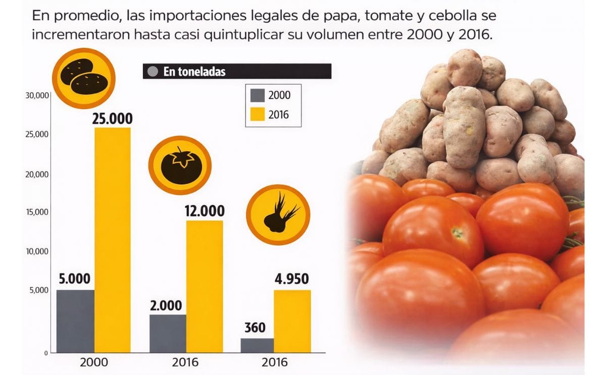 La importación de papa se dispara en Bolivia La importación de papa se dispara en Bolivia
