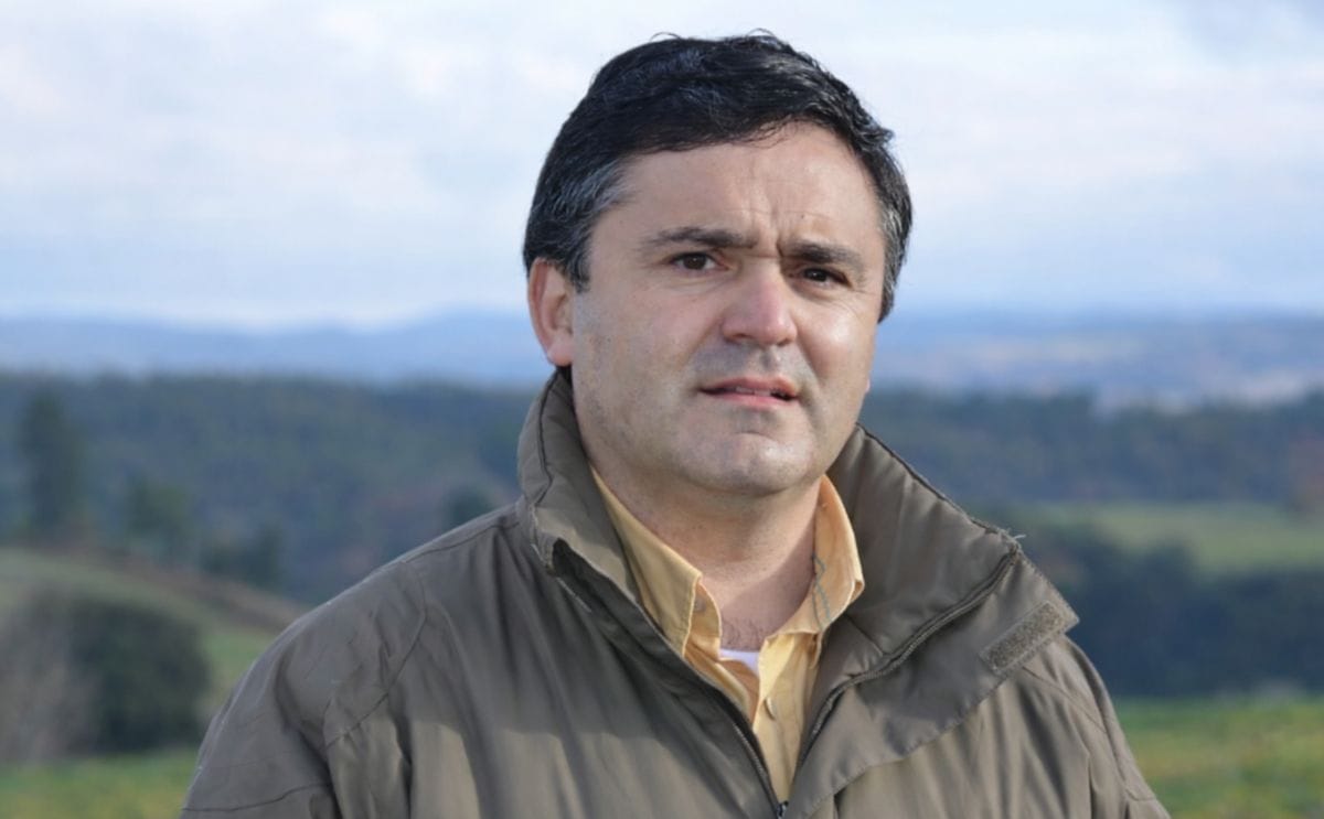 La industrialización: ¿el paso siguiente del rubro papero en Chile? La industrialización: ¿el paso siguiente del rubro papero en Chile?