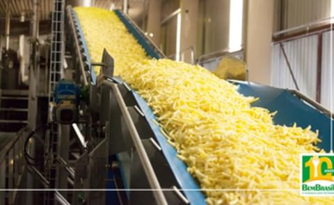 La mayor fábrica de papas prefritas congeladas de Brasil comprará papa argentina La mayor fábrica de papas prefritas congeladas de Brasil comprará papa argentina