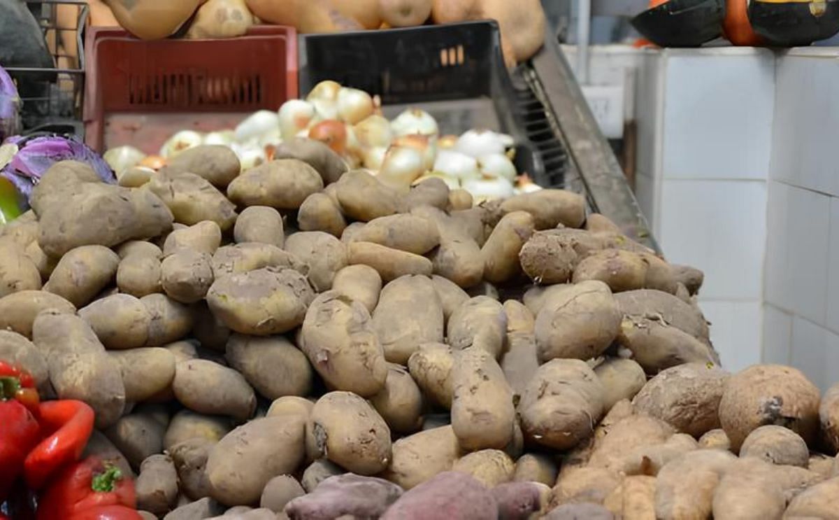 La papa aumentó en los últimos días de forma considerable y el kilo pasó el precio relativo de varios productos de la economía La papa aumentó en los últimos días de forma considerable y el kilo pasó el precio relativo de varios productos de la economía