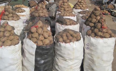 ¿Por qué es difícil instalar una planta de procesamiento de papa en Perú? ¿Por qué es difícil instalar una planta de procesamiento de papa en Perú?