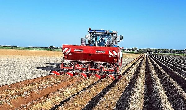 España: Queda por sembrar un 35% de superficie de patata en Castilla y León