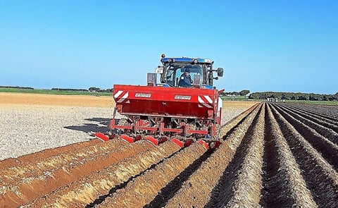 España: Queda por sembrar un 35% de superficie de patata en Castilla y León España: Queda por sembrar un 35% de superficie de patata en Castilla y León
