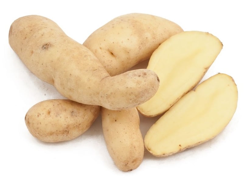 Specialty potato variety "La Ratte". These (fingerling) potatoes have a diameter of ø10mm up ø70 mm. Specialty potato variety "La Ratte". These (fingerling) potatoes have a diameter of ø10mm up ø70 mm.
