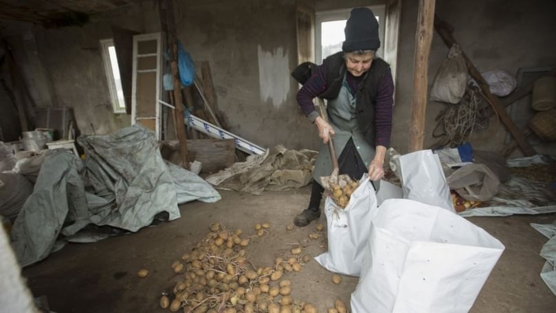 La UE dice que Galicia está a punto de erradicar plaga