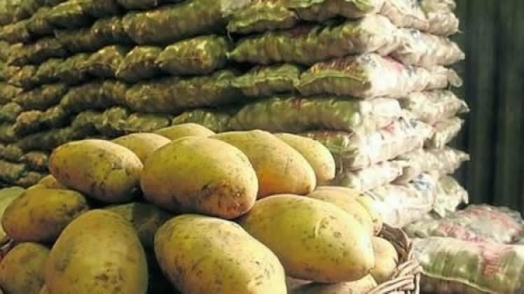 Argentina: La producción de papa en crisis