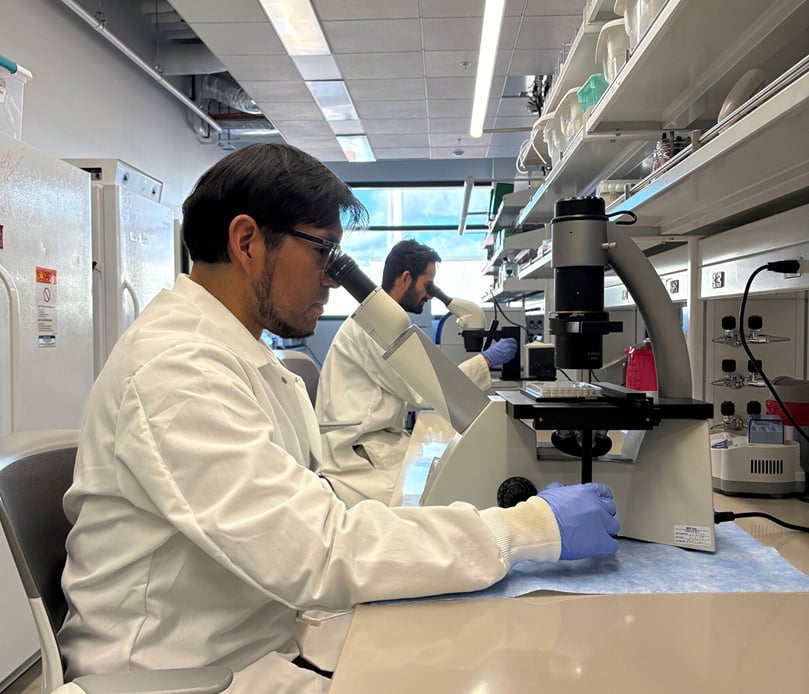Members of Dr. Louise-Marie Dandurand’s PCN program, research technician Cesar Palomino Ayquipa (front) and Postdoctoral Fellow Dr. Bhupendra Bhatta (back) counting nematode samples in the lab. (Courtesy: The American Phytopathological Society)