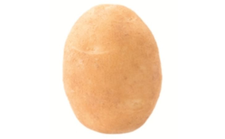 LADY ALICIA LADY ALICIA