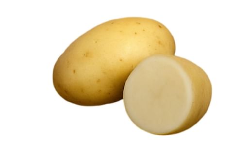 LADY BLANCA LADY BLANCA