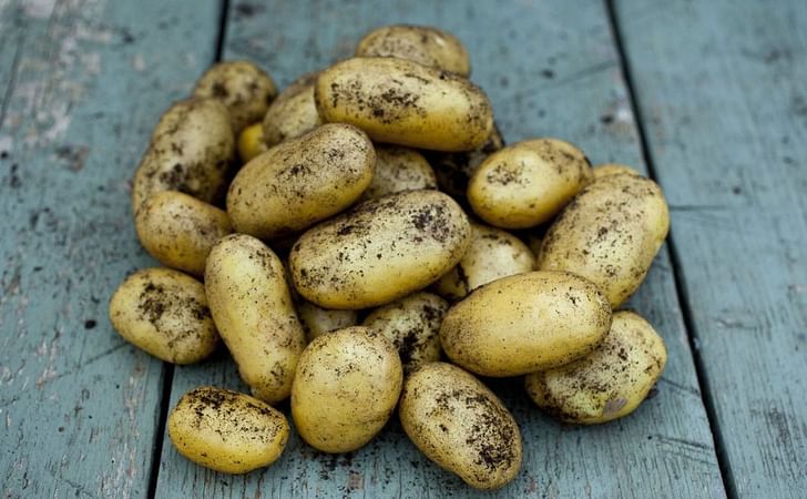 Lady Christl Lady Christl