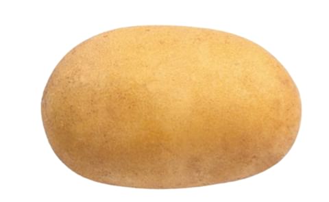 LADY AMARILLA LADY AMARILLA