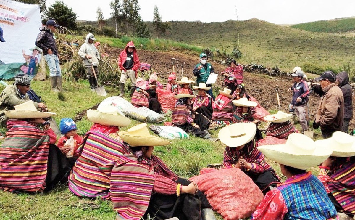Lambayeque, Perú: capacitan a pobladores andinos en buenas prácticas de producción agrícola. Lambayeque, Perú: capacitan a pobladores andinos en buenas prácticas de producción agrícola.
