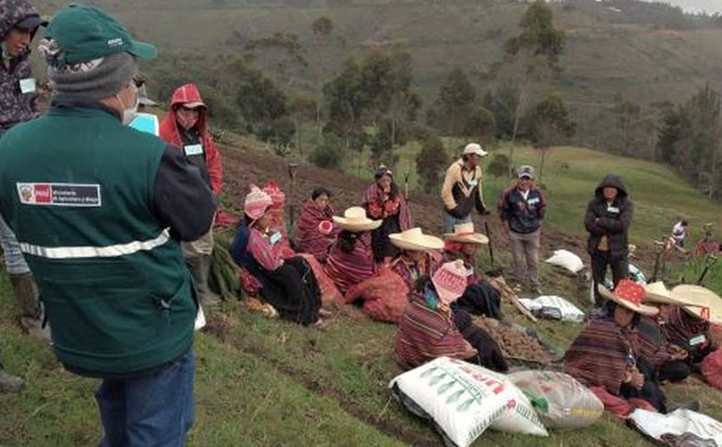Ellos brindan, además, asistencia técnica permanente en dichos cultivos que forman parte de los productos priorizados por el Proyecto de Fortalecimiento de la Inocuidad Agroalimentaria, desarrollado por el Senasa a través del Programa de Desarrollo de la Sanidad Agropecuaria (Prodesa). Ellos brindan, además, asistencia técnica permanente en dichos cultivos que forman parte de los productos priorizados por el Proyecto de Fortalecimiento de la Inocuidad Agroalimentaria, desarrollado por el Senasa a través del Programa de Desarrollo de la Sanidad Agropecuaria (Prodesa).