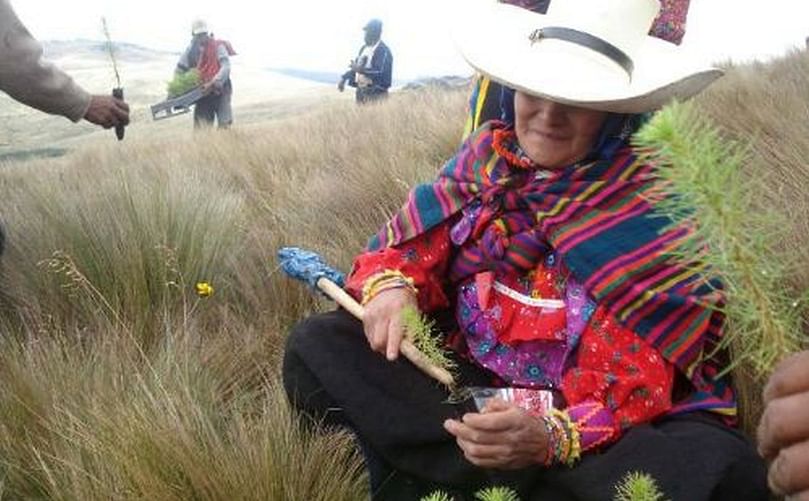 En la región Lambayeque, el Senasa instalará cinco ECA adicionales en cultivos andinos para julio próximo.