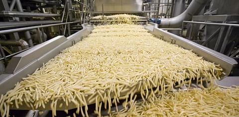 First large-scale French Fries production plant in Russia inaugurated