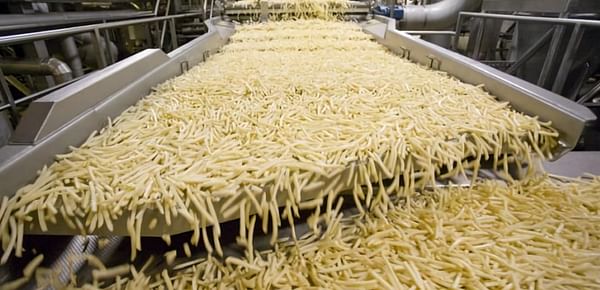 First large-scale French Fries production plant in Russia inaugurated