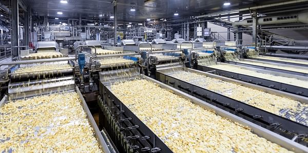 Lamb Weston Meijer: Expanding production capacity with new state-of-the-art french fry plant in Kruiningen - the Netherlands