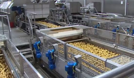 The washing and Sorting section in the new expansion of Lamb Weston / Meijer - Kruiningen