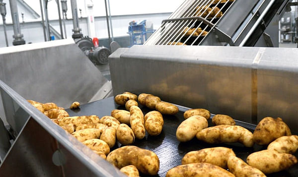 Potato growers can’t keep upwith 'red hot' global demand