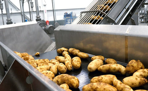 Washington potatoes provide USD 7.4 billion in economic activity in the state, according to the Washington Potato Commission.