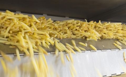 The acquisition of Oerlemans Foods increases the Lamb Weston / Meijer production capacity for French fries by 85,000 tons. The photo shows cut skin-on potato strips leaving the dryer, ready for either coating or par-frying. The acquisition of Oerlemans Foods increases the Lamb Weston / Meijer production capacity for French fries by 85,000 tons. The photo shows cut skin-on potato strips leaving the dryer, ready for either coating or par-frying.