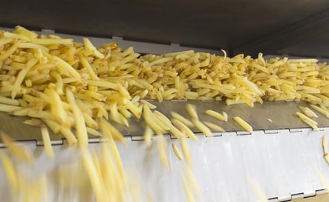 The acquisition of Oerlemans Foods increases the Lamb Weston / Meijer production capacity for French fries by 85,000 tons. The photo shows cut skin-on potato strips leaving the dryer, ready for either coating or par-frying. The acquisition of Oerlemans Foods increases the Lamb Weston / Meijer production capacity for French fries by 85,000 tons. The photo shows cut skin-on potato strips leaving the dryer, ready for either coating or par-frying.