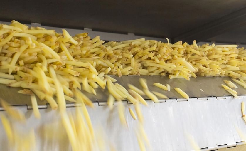 The acquisition of Oerlemans Foods increases the Lamb Weston / Meijer production capacity for French fries by 85,000 tons. The photo shows cut skin-on potato strips leaving the dryer, ready for either coating or par-frying.
