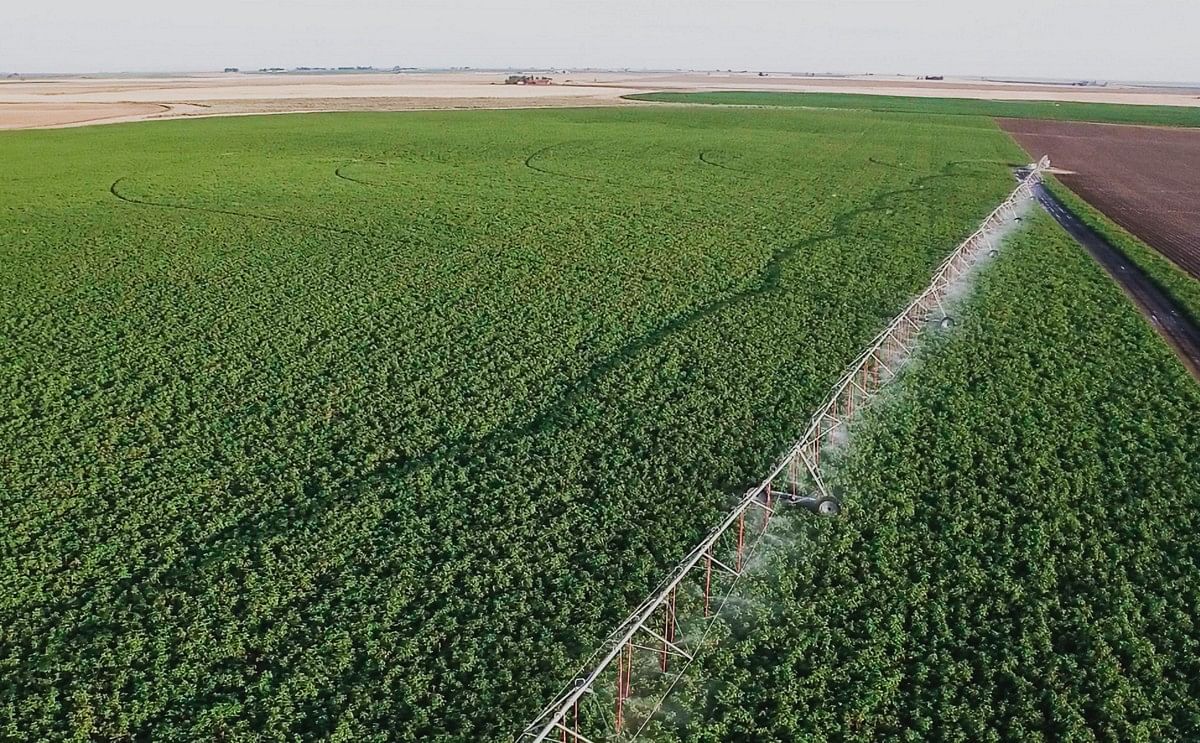 Lamb Weston Reports Fiscal Fourth Quarter and Full Year 2021 Results; Provides Fiscal Year 2022 Outlook Lamb Weston Reports Fiscal Fourth Quarter and Full Year 2021 Results; Provides Fiscal Year 2022 Outlook
