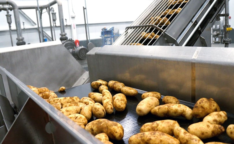 Impression of the new potato processing line at Lamb Weston - Richland - Line 5 Impression of the new potato processing line at Lamb Weston - Richland - Line 5