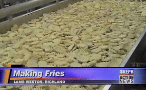 Lamb Weston CrissCut French Fry production in Richland (video) Lamb Weston CrissCut French Fry production in Richland (video)