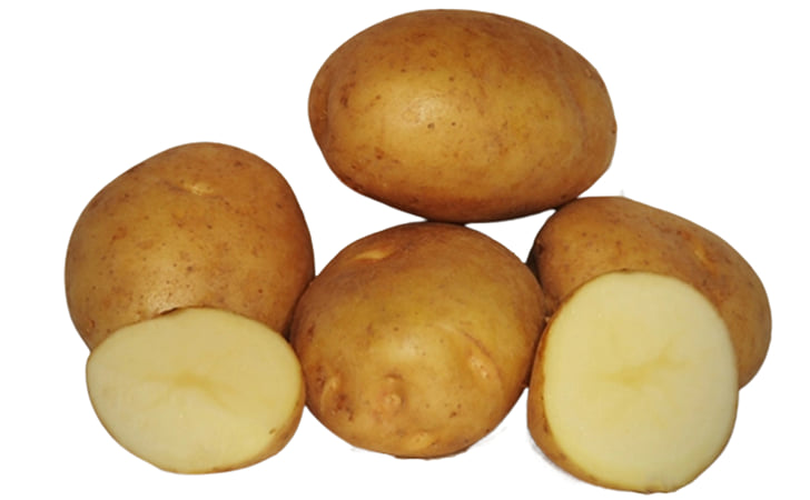 Lamoka Lamoka