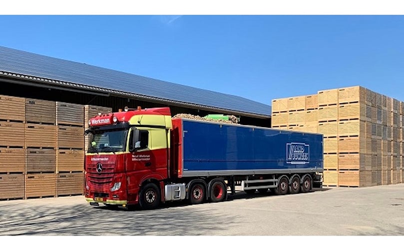 Las patatas holandesas están disponibles durante más tiempo gracias, en parte, a la mejora de las variedades y las técnicas de almacenamiento. Las patatas holandesas están disponibles durante más tiempo gracias, en parte, a la mejora de las variedades y las técnicas de almacenamiento.