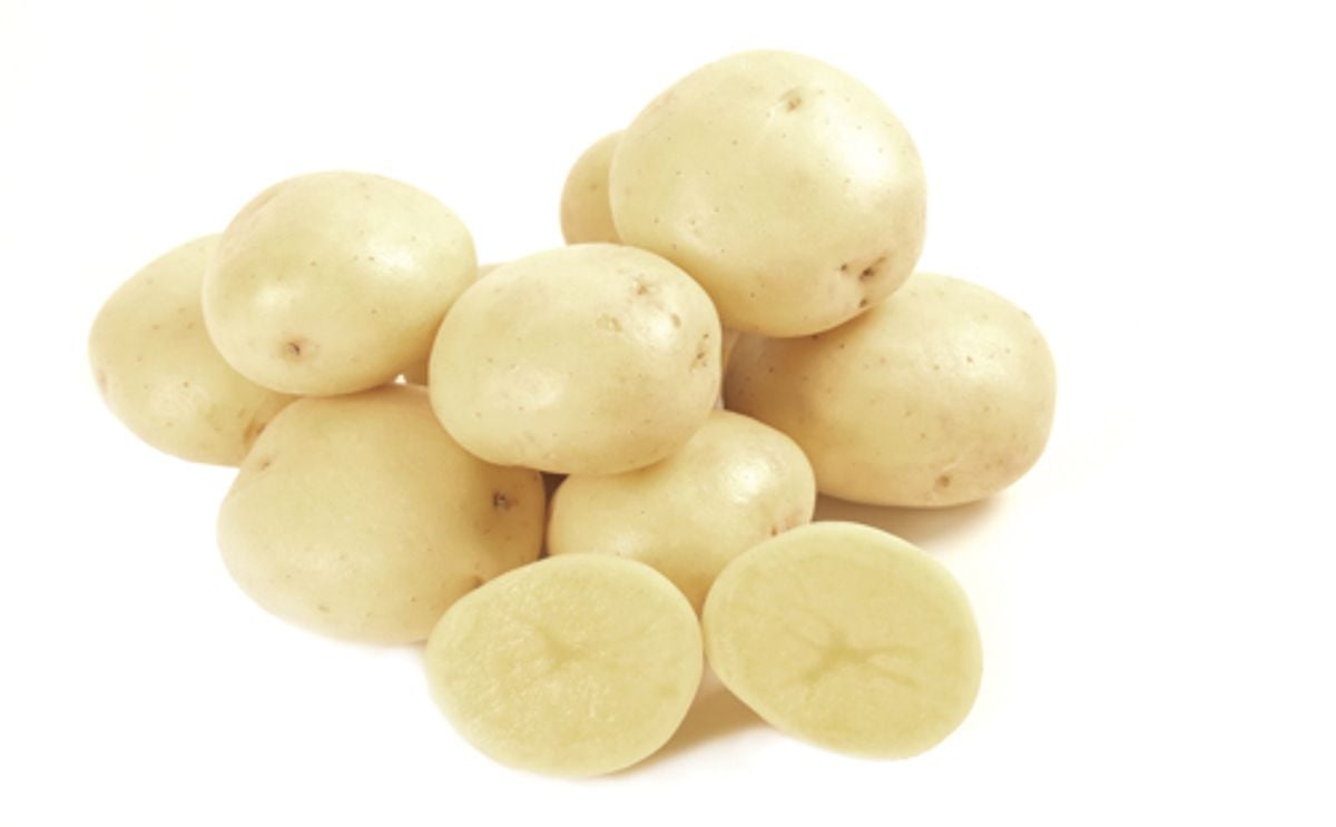 LANORMA LANORMA