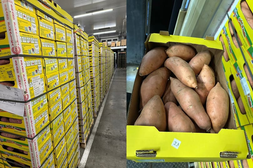 Large volumes of Egyptian sweet potatoes ready for export, highlighting strong market momentum driven by rising restaurant use and growing demand for ready-to-eat products across Europe. Large volumes of Egyptian sweet potatoes ready for export, highlighting strong market momentum driven by rising restaurant use and growing demand for ready-to-eat products across Europe.