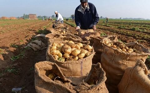 Las grandes empresas que apoyan a los pequeños productores Las grandes empresas que apoyan a los pequeños productores